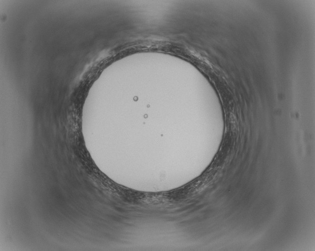 X0000072501447200608041429