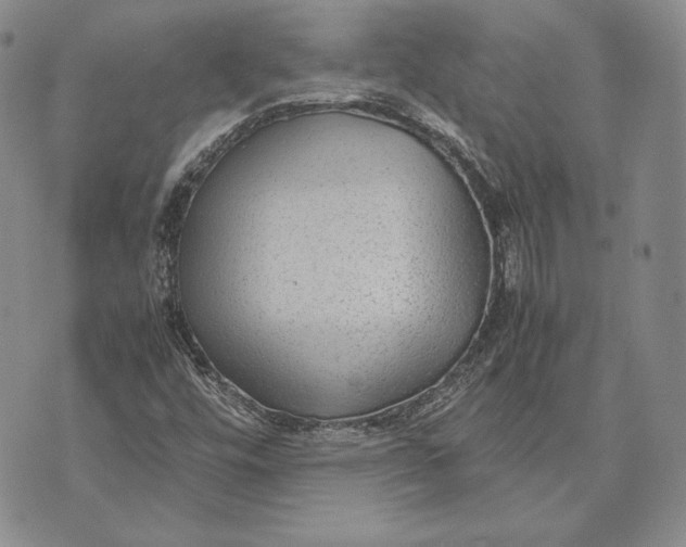 X0000072501448200608041429