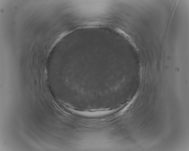 X0000072501449200608041429