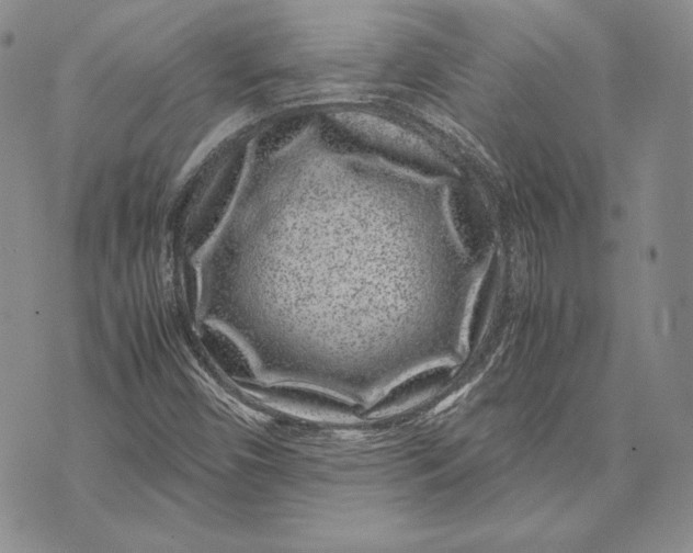 X0000072501450200608041429