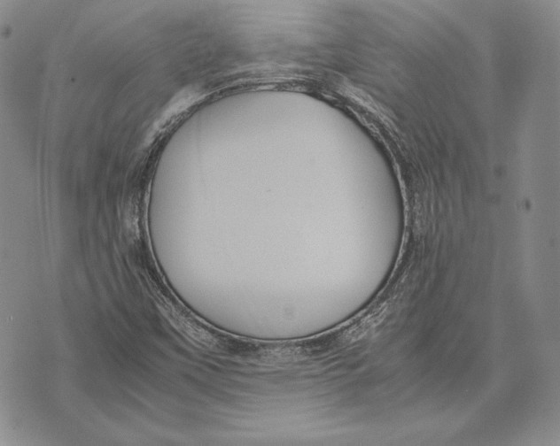 X0000072501451200608041429