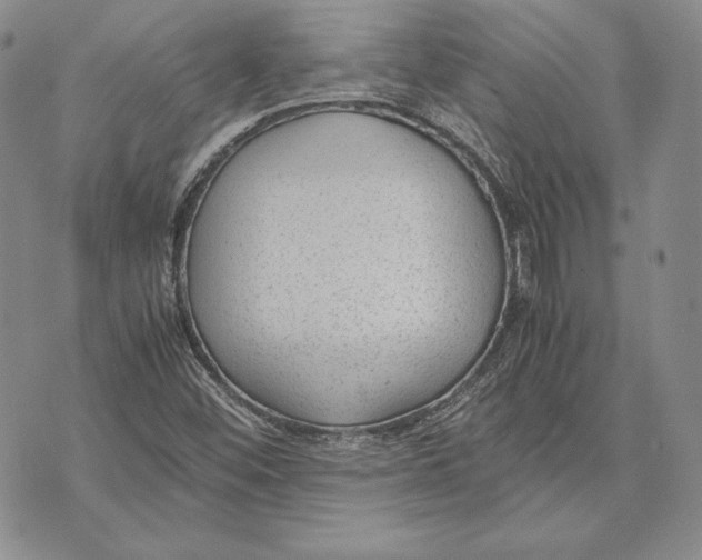 X0000072501452200608041429