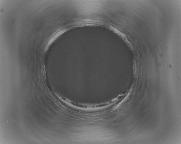 X0000072501453200608041429