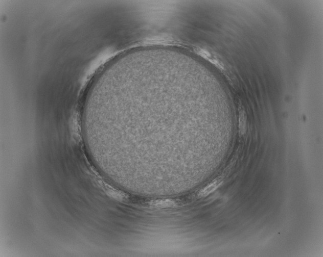 X0000072501454200608041429