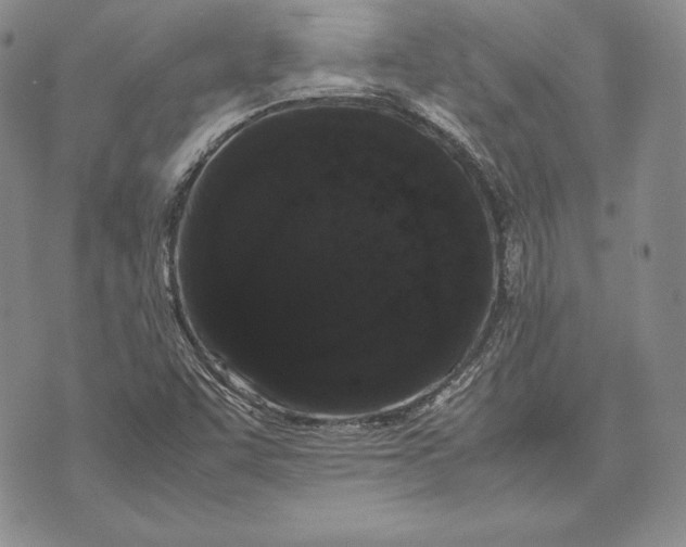 X0000072501455200608041429