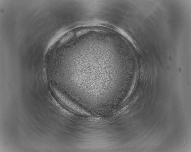 X0000072501456200608041429