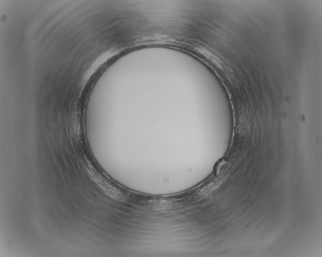 X0000072501458200608041429