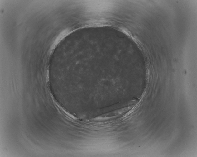 X0000072501459200608041429