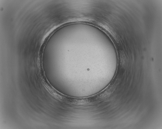 X0000072501460200608041429