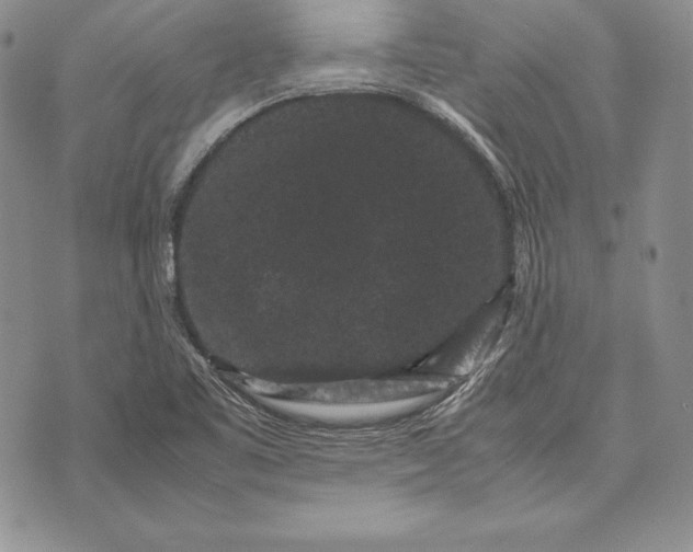 X0000072501461200608041429