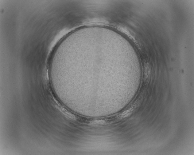 X0000072501462200608041429