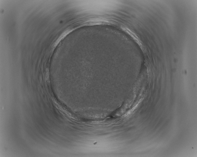 X0000072501465200608041429