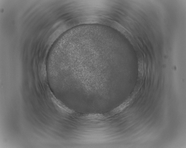 X0000072501466200608041429