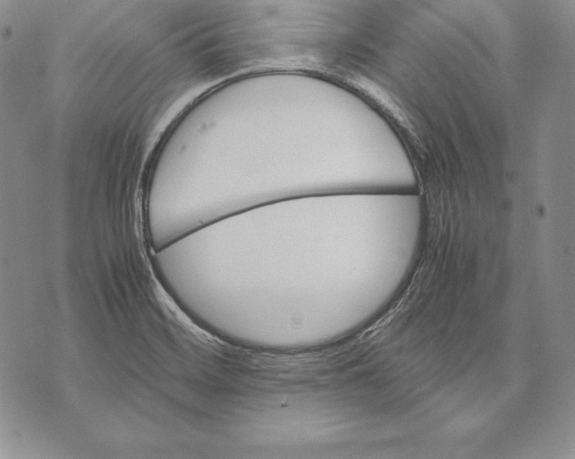 X0000072501468200608041429