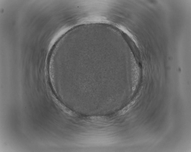 X0000072501469200608041429