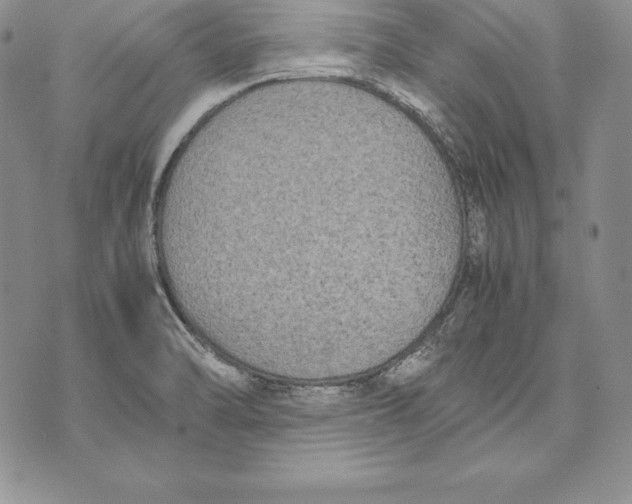 X0000072501470200608041429