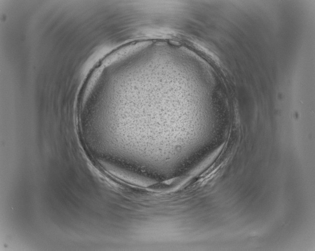 X0000072501471200608041429