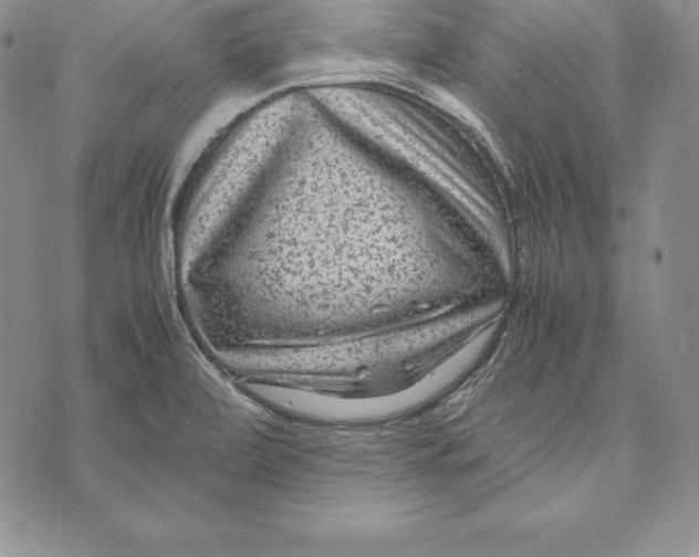 X0000072501472200608041429