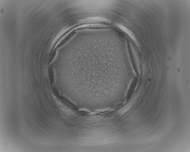 X0000072501473200608041429