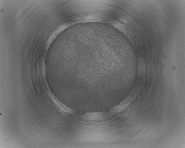 X0000072501474200608041429