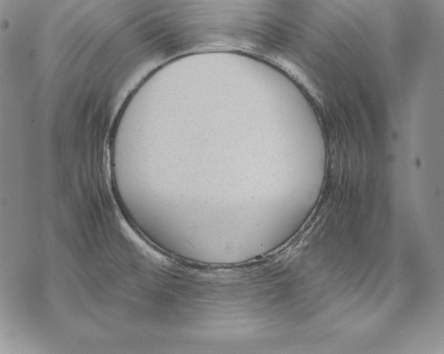 X0000072501476200608041429