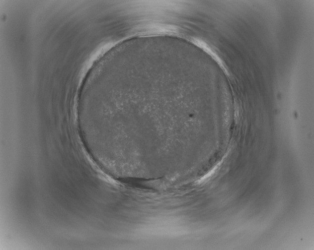 X0000072501477200608041429