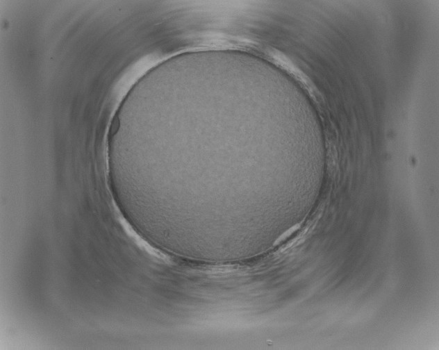 X0000072501479200608041429