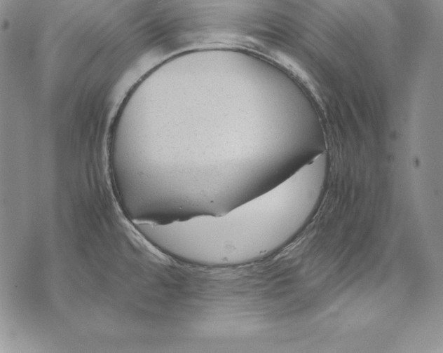 X0000072501480200608041429