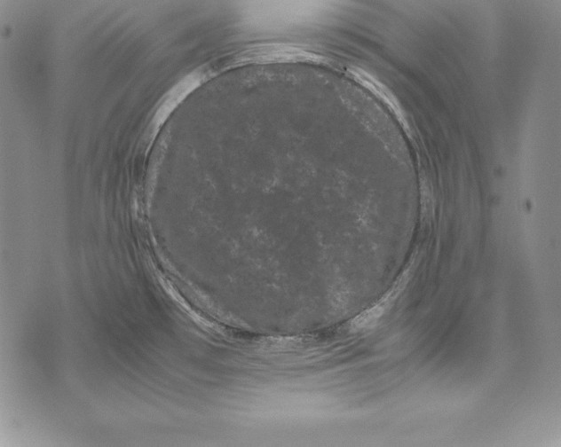 X0000072501481200608041429