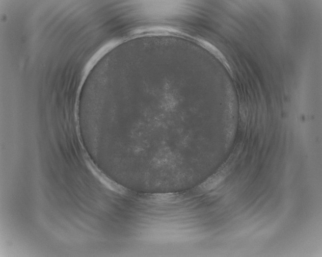 X0000072501482200608041429