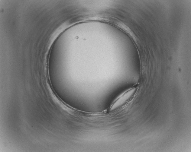 X0000072501483200608041429