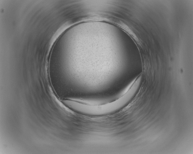 X0000072501484200608041429