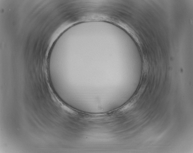 X0000072501486200608041428