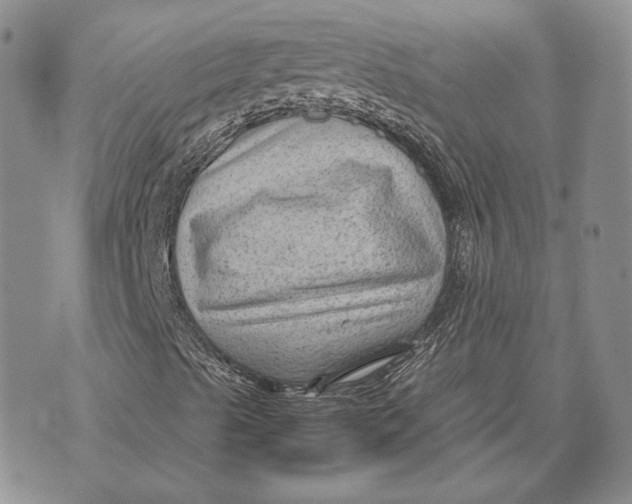 X0000072501489200608041428