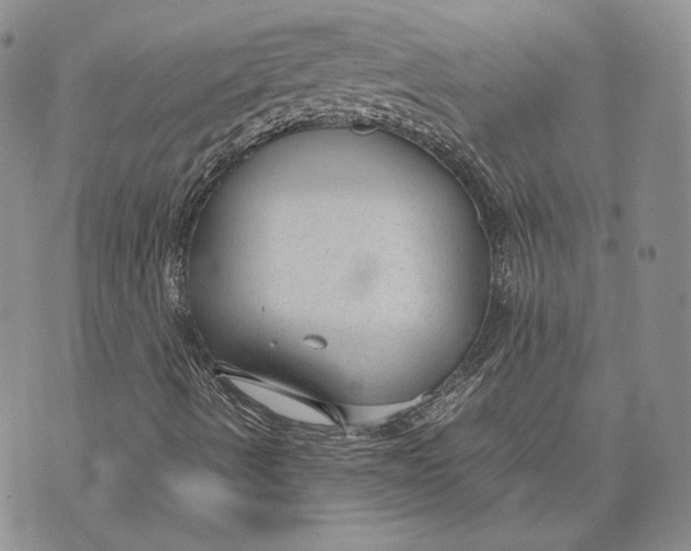 X0000072501490200608041428