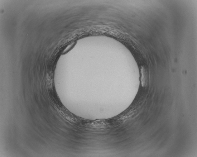 X0000072501491200608041428