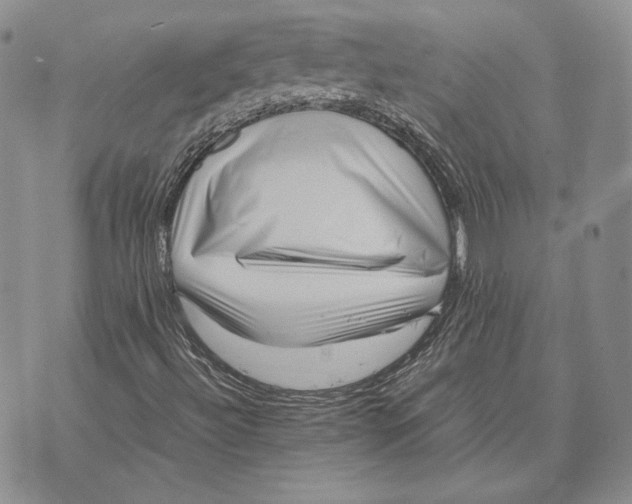 X0000072501492200608041428