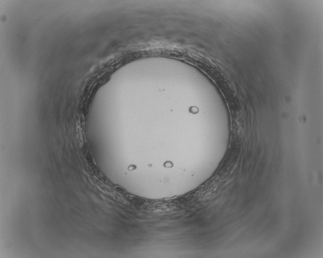 X0000072501493200608041428