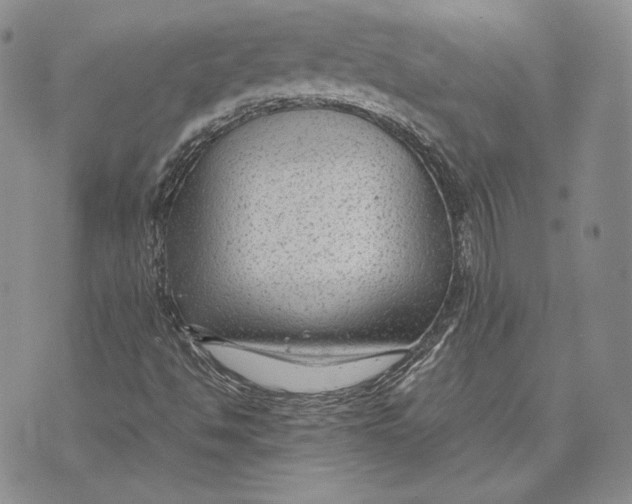 X0000072501494200608041428