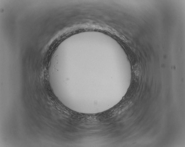 X0000072501495200608041428