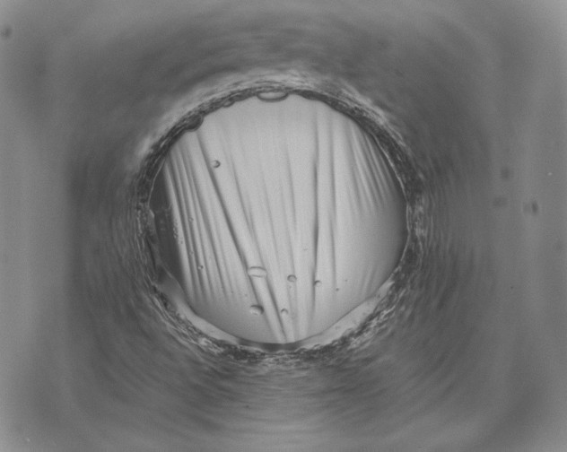 X0000072501496200608041428