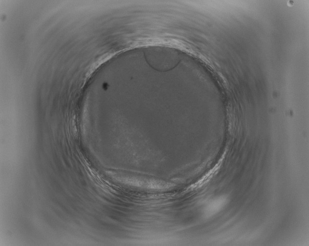 X0000072501497200608041428