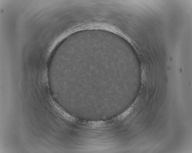 X0000072501498200608041428