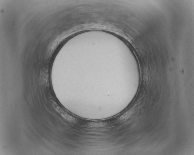 X0000072501499200608041428