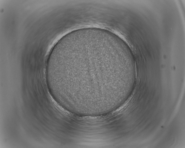 X0000072501500200608041428