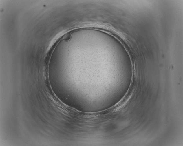 X0000072501501200608041428