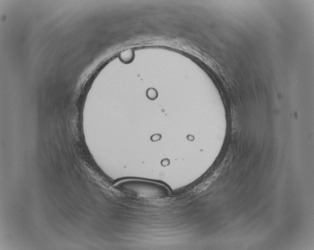 X0000072501502200608041428