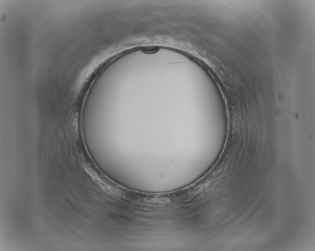 X0000072501503200608041428