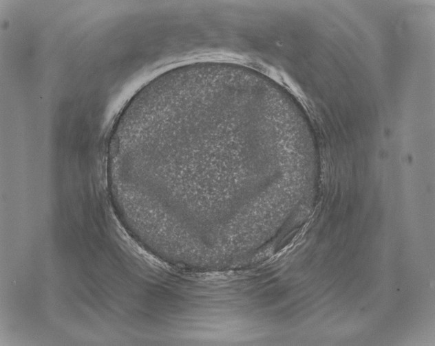 X0000072501504200608041428