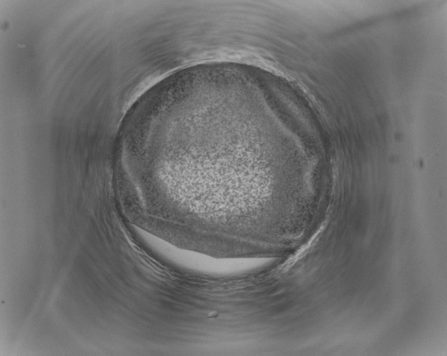 X0000072501505200608041428